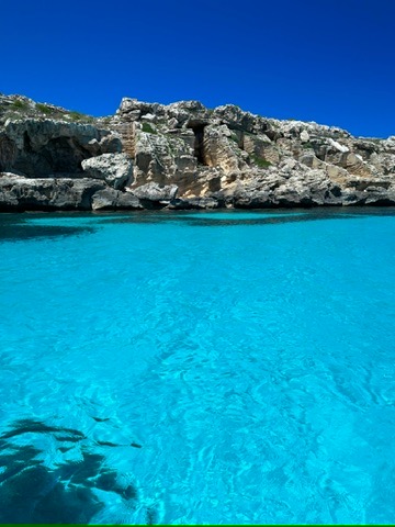 Favignana calette